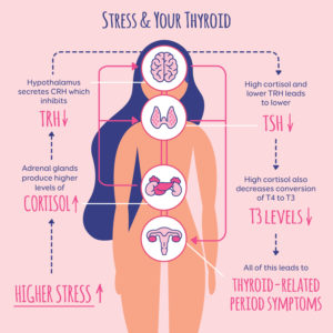 How Stress Affects Your Menstrual Cycle - Nicole Jardim