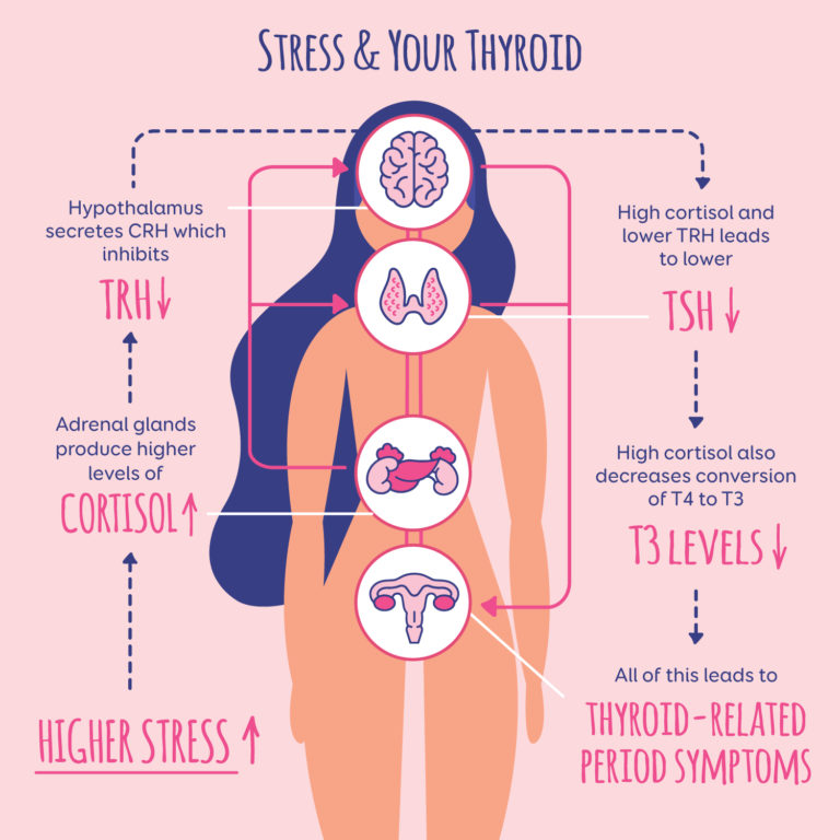 How Stress Affects Your Menstrual Cycle - Nicole Jardim