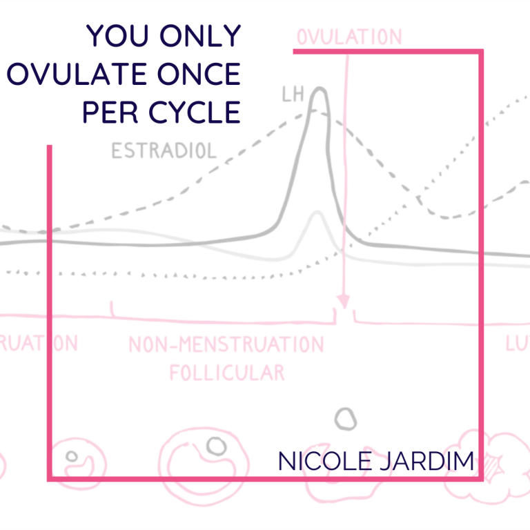 You Only Ovulate Once Per Cycle