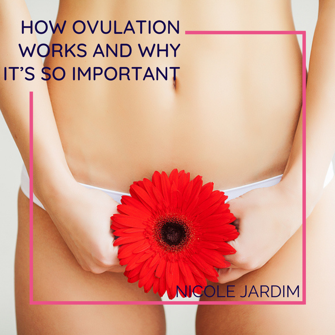 How Ovulation Works And Why It’s So Important Nicole Jardim
