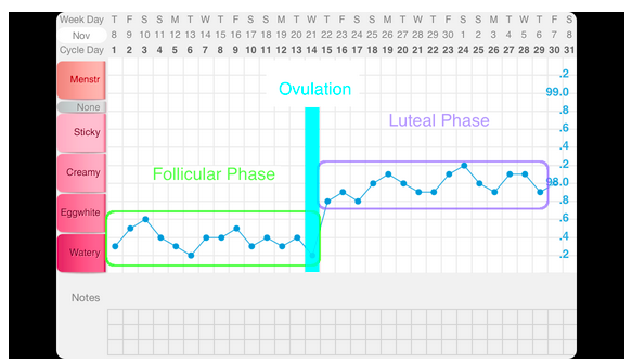 Sympto-thermal Method of Fertility Awareness Short Luteal Phase and  Potential Infertility Chart — Groove