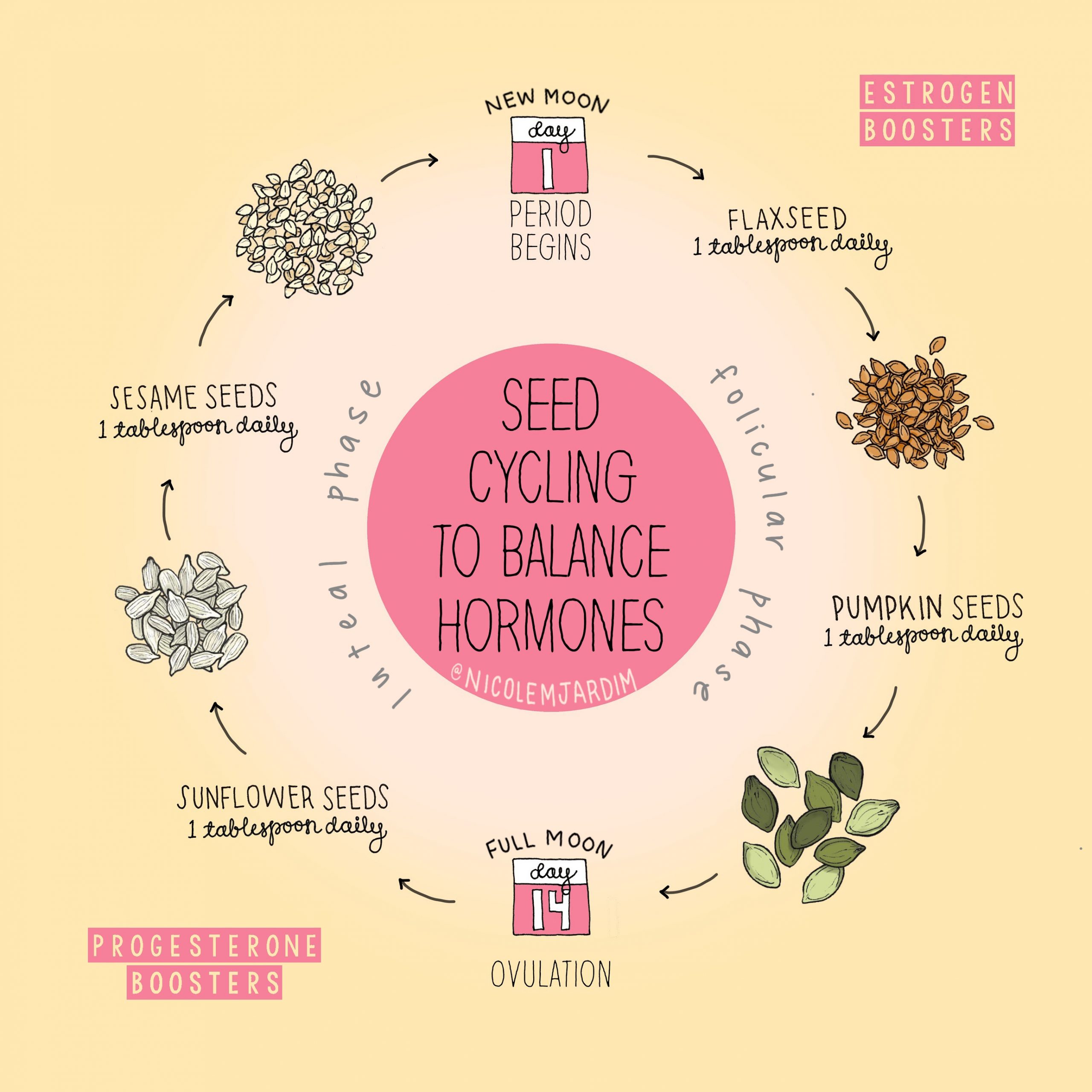 How to do seed cycling using flax, pumpkin, sesame and sunflower seeds