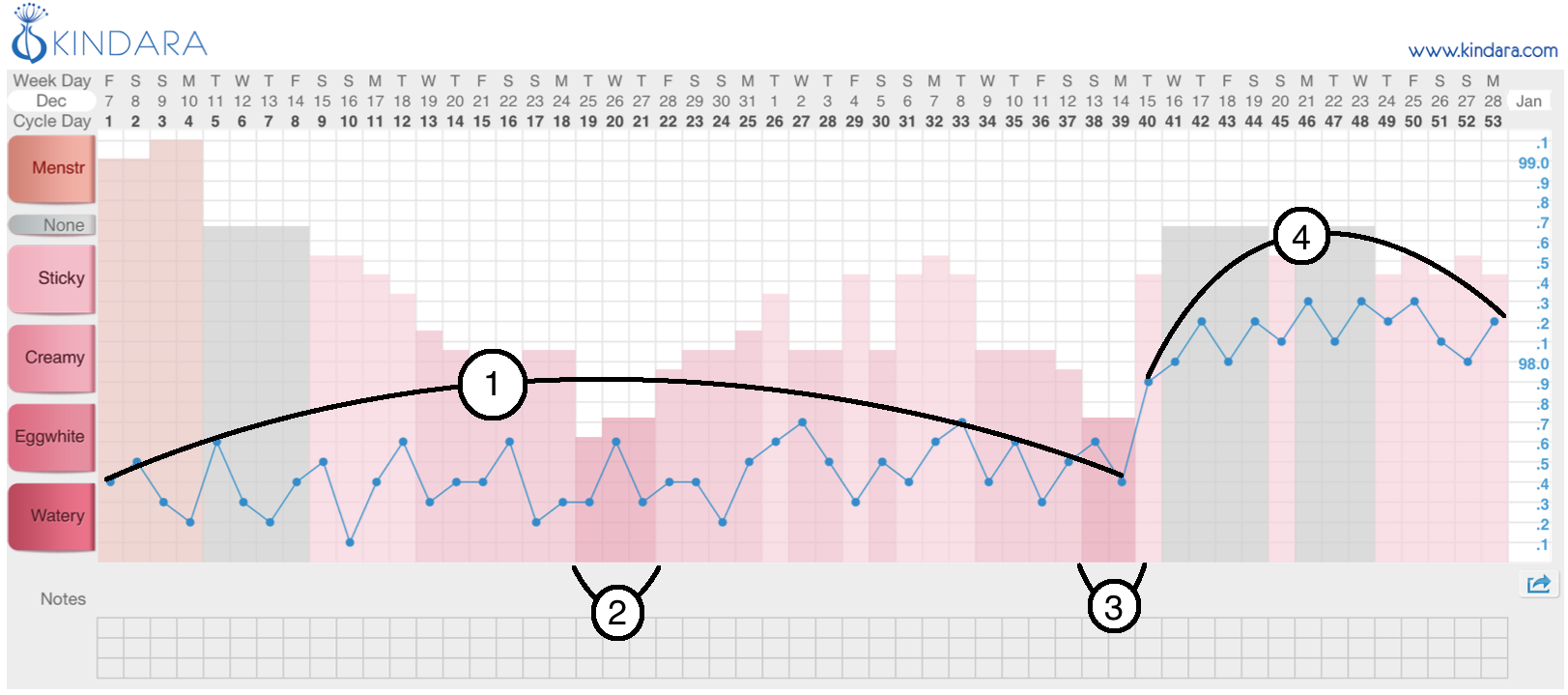 PCOS Chart