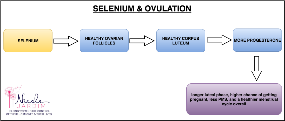 Selenium effect on ovulation