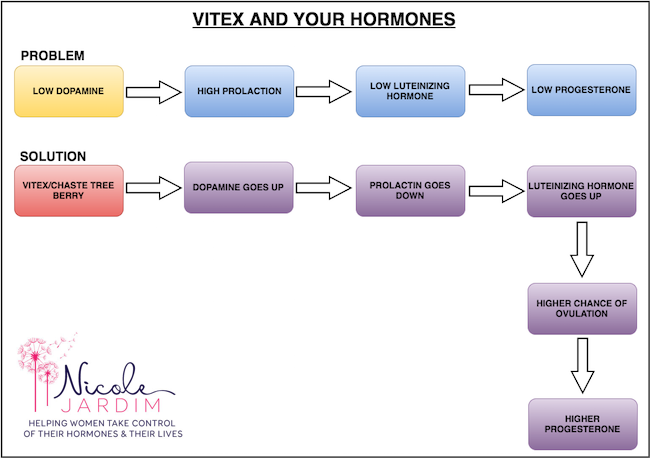 Vitex and your hormones