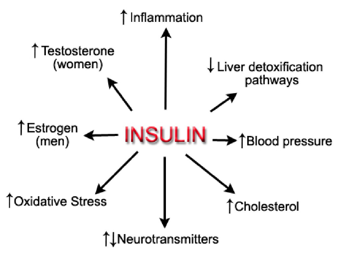 insulin-effects