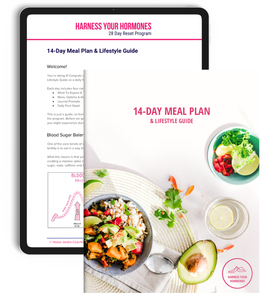 7 Day Luteal Phase Support Meal Plan with Prep Guide, Nutrition Guide,  Hormone-balancing, PCOS, Cycle Syncing, Pre-menopause 