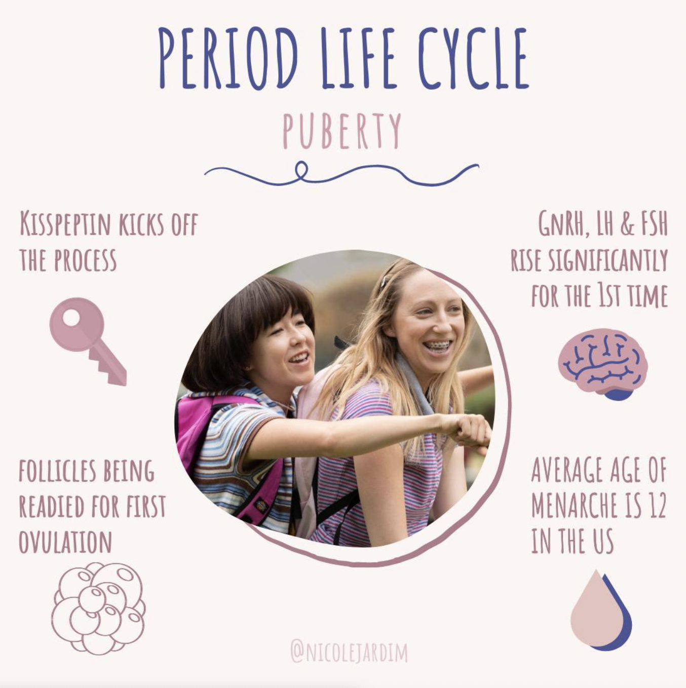 The Menstrual Life Cycle - Nicole Jardim