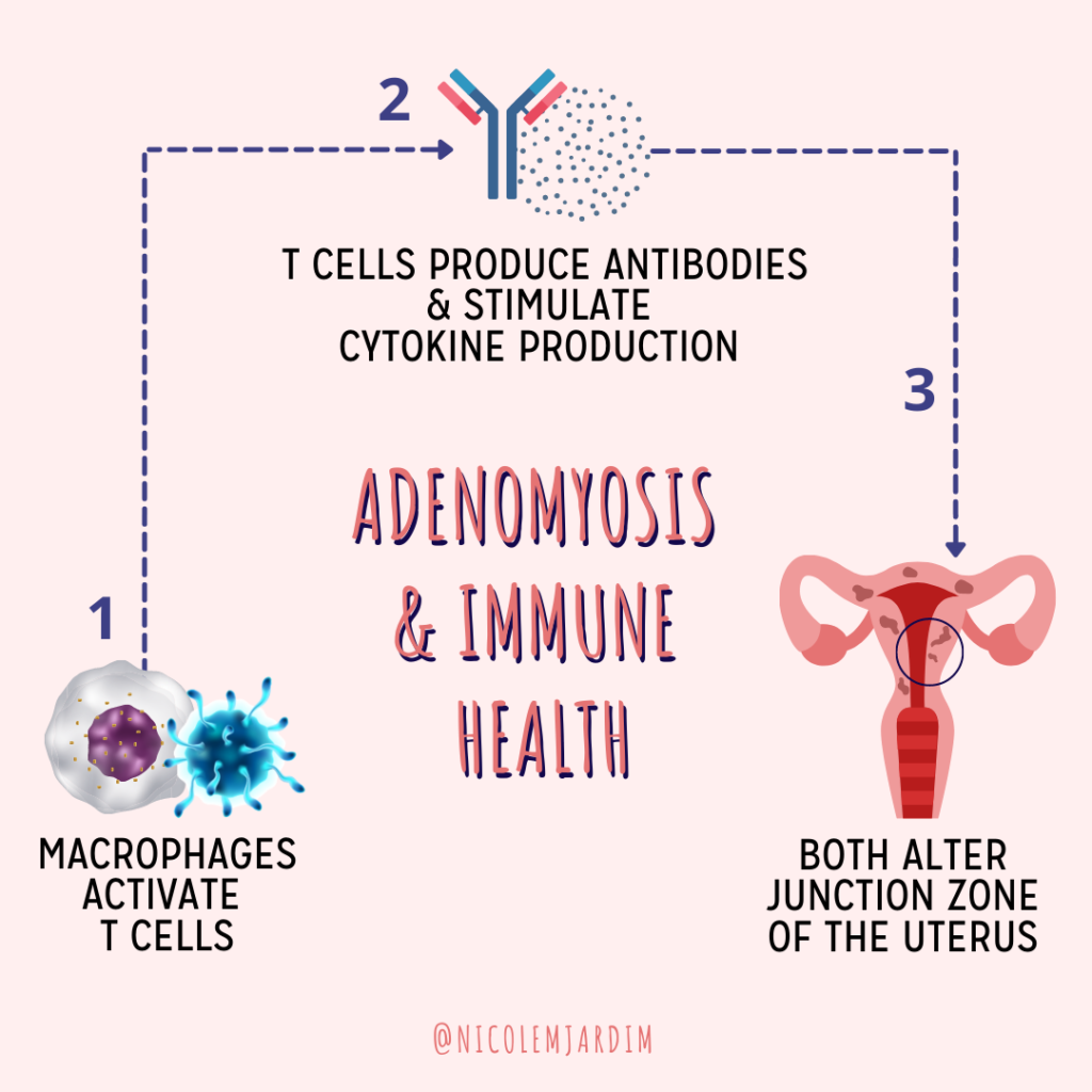 Adenomyosis Portal - Gynaecology Collaboration